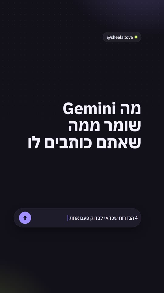 שקופית פתיחה של @sheela.tova, מה Gemini שומר ממה שאתם כותבים לו